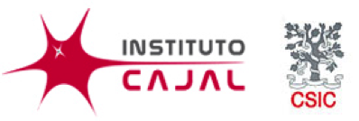 Europe – GET2EXCEL